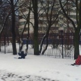 На лыжи друзья!