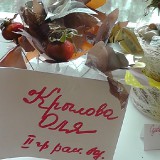 Осенние поделки - 2016